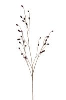 Sanguisorba spray burgundy 105 cm - Emerald
