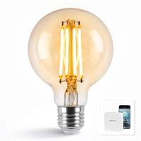 Wifi set met Dual White smart filament lamp van Milight 7W E27 fitting - Amberkleurig G95 model - Met Milight module