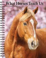What Horses Teach Us Agenda 2026
