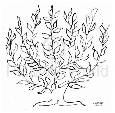 Kunstdruk Henri Matisse - Le platane 100x100cm