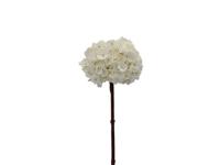 Kunstbloem hortensia 66 cm, creme - Buitengewoon de boet
