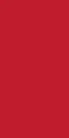 Duni dunisilk tafelkleed 138x220cm rood 1 stuks
