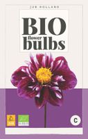 Bio Dahlia Impression Fantastico Bloembol JUB 1 bol - Jub