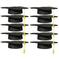 Geslaagd thema hoedje voor kinderen - Set van 20x stuks - verkleed feestartikelen - afstudeer hoedje