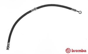 Remslang T30054