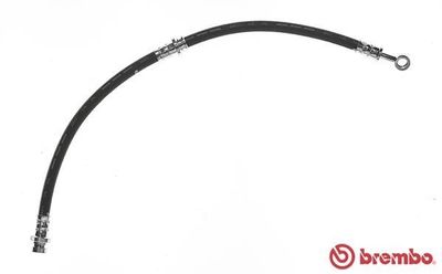 Remslang T30054