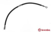 Remslang T30054