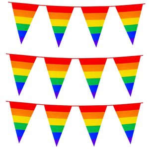 3x Stuks Boland PE vlaggenlijn - 8m - Regenboog - Universeel Thema