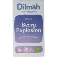 Dilmah Berry explosion tea bio