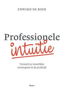 Professionele intuïtie (Paperback)