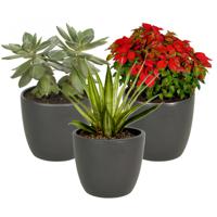 3x stuks bloempot mat antraciet grijs keramiek voor kamerplant H13.5 x D15.5 cm - thumbnail