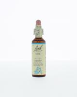 Vine/wijnrank 20 Milliliter