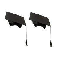 Afstudeerhoedje geslaagd met kwast - 2x stuks - volwassenen - zwart - Examen diploma uitreiking