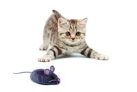 HexBug Mouse Cat Toy Robot bouwpakket - thumbnail