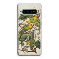 Carolinaparkiet: Samsung Galaxy S10 Plus Transparant Hoesje