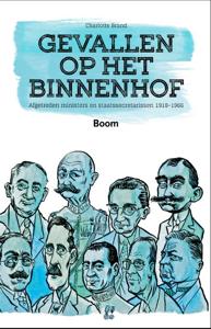 Gevallen op het Binnenhof (Paperback)