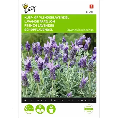 Lavandula, Kuif- of Vlinderlavendel