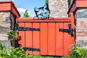 Kiekeboe dieren Kat Kitty zwart