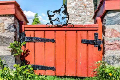 Kiekeboe dieren Kat Kitty zwart