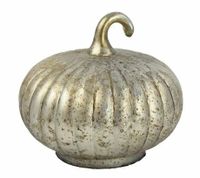 Ornament pompoen L