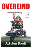 Overeind na een herseninfarct (Paperback)