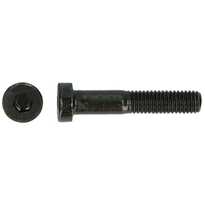 pgb-Europe PGB-FASTENERS | Lage BZK-schroef 8.8 DIN 7984 M 6x12 | 500 st 7984800006000120 pgb-Europe PGB-FASTENERS | Lage BZK-schroef 8.8 DIN 7984 M 6x12 | 500 st 7984800006000120