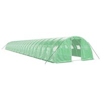 The Living Store Broeikas - XXL - Groen - PE + Gegalvaniseerd Staal - 24 x 4 x 2 m - 140 g/m² PE densiteit - Met