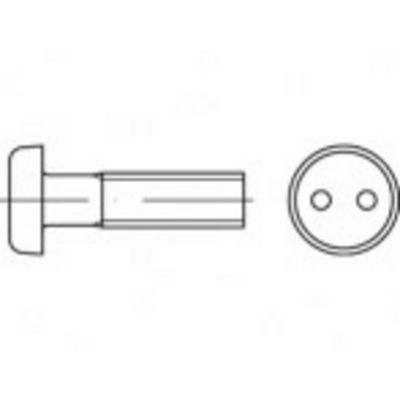 TOOLCRAFT TO-5379936 Veiligheidsschroeven M3 6 mm Tweegats 88111 RVS A2 100 stuk(s)