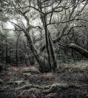 Komar Stefan Hefele; Komar Wanderlust Fotobehang Das Model - SHX5-018