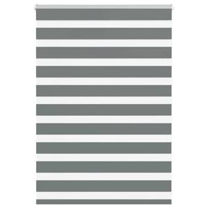 VidaXL Zebra rolgordijn 100x100 cm stofbreedte 95,9 cm donkergrijs