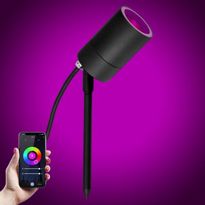 LED Pin Tuinspot Zwart met Color LED