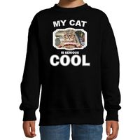 Auto rijdende katten / poezen trui / sweater my cat is serious cool zwart voor kinderen - thumbnail