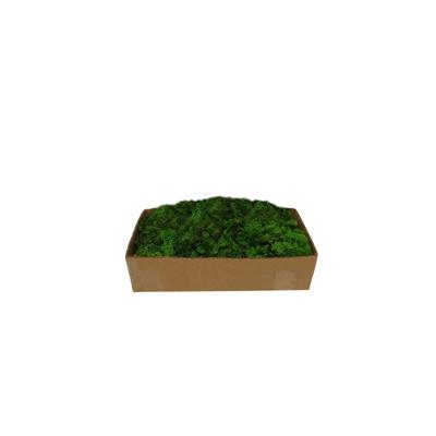 Rendiermos groen 500g - My village
