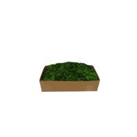 Rendiermos groen 500g - My village