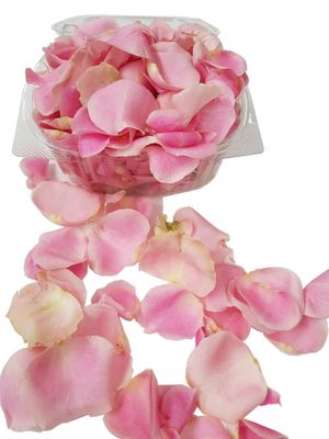 Roze rozenblaadjes Roze rozenblaadjes