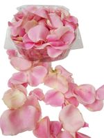 Roze rozenblaadjes - thumbnail