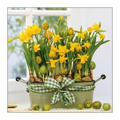 Paas thema servetten - 40x - Narcissen print - 33 x 33 cm - Pasen - feestservetten - Paasontbijt