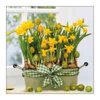 Paas thema servetten - 40x - Narcissen print - 33 x 33 cm - Pasen - feestservetten - Paasontbijt