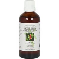 Muisdoorn Muisdoorn