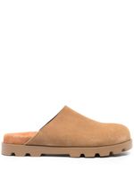 Camper mules Brutus en daim - Marron