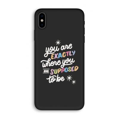 Right Place: iPhone XS Biologisch afbreekbaar hoesje