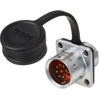 Weipu SF1213/P9 Ronde connector Stekker, recht Totaal aantal polen: 9 Serie (ronde connectoren): SF12 1 stuk(s)