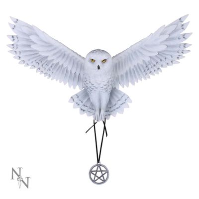 Nemesis Now - Awaken your Magic (AS) 45cm