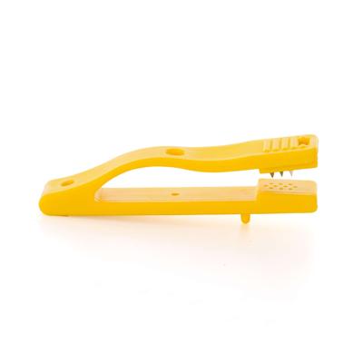ORIENTATION CLIPS-SET OF 10 PCS-