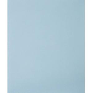PFERD TOOLS 45015100 Handschuurpapier Korrelgrootte (num) 1000 (l x b) 280 mm x 230 mm 50 stuk(s)