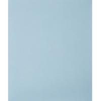 PFERD TOOLS 45015100 Handschuurpapier Korrelgrootte (num) 1000 (l x b) 280 mm x 230 mm 50 stuk(s)