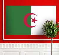 Muursticker vlag Algerije
