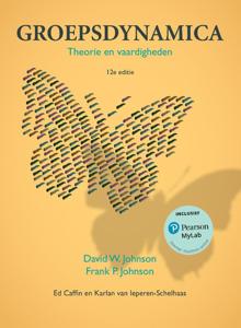 Groepsdynamica (Paperback)