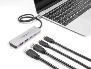 DeLOCK 64230 interface hub USB Type-C 10000 Mbit/s Grijs