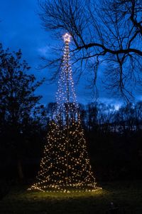 Tree With Star On Pole diameter160X500 cm836 Led Classic Warm - Anna's Collection